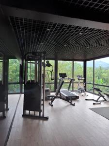 a gym with several treadmills and machines in a room with windows at Dreamside Apartment in Chakvi