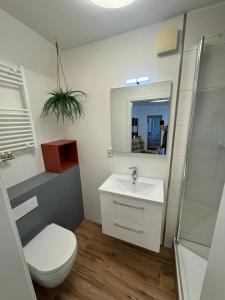 a bathroom with a toilet and a sink and a mirror at Schkeuditz Gästeapartment II in Schkeuditz