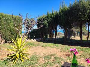 a green bottle with flowers in a field with trees at La casa del mar Nuimna in Peniscola