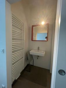 a bathroom with a sink and a mirror at Modern Loft mit Terrasse in Vienna