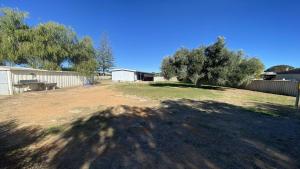 a shadow of a tree on a yard with a bench at Blue Marlin, 12 Westlake Way in Jurien Bay