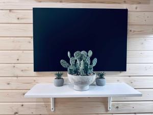 a potted plant sitting on a white table at Stockholm Archipelago by Tiny Away in Fagerdala
