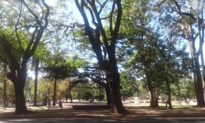 a park with trees and a person walking in the park at Apartamento Paseo del Lago in Montevideo