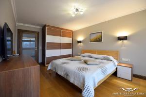 - une chambre avec un lit, une commode et une télévision dans l'établissement Luxury apartment, à Druskininkai