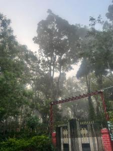 a misty forest with a gate and trees in the background at giri stay in Aldūr