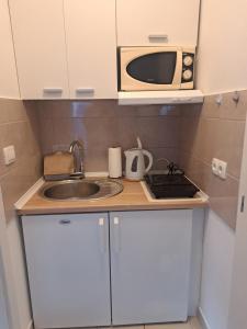 a small kitchen with a sink and a microwave at Jozić Sobe Studio in Krk