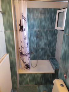 a bathroom with a shower with a shower curtain at Stefania's Luxury House in Platamonas +69 photos