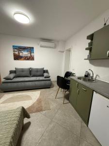 a living room with a couch and a sink at SOBE AVA in Palić +79 photos