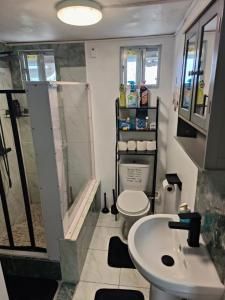 a small bathroom with a toilet and a sink at Ocean View Guest Apt in Kingstown +2 photos