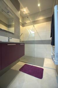 a bathroom with a glass shower and a purple rug at Le jardin sainte anne in Balnot-sur-Laignes