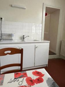 a kitchen with a sink and a counter with red flowers on it at Maison de la Vallée - proche Zoo Beauval in Angé