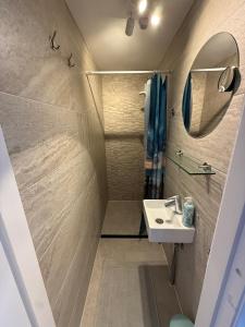 a bathroom with a sink and a shower at Maisonnette Indysenne in Zandvoort +43 photos