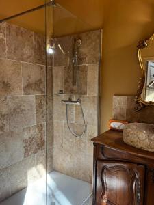 a shower with a glass door in a bathroom at La maison des romans du Château du Sollier - Charme Calme Confort Climatisation - à 5mn du péage de Bourges à la campagne - stationnement privé -Panette Collection in Bourges +27 photos