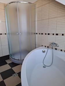 a bathroom with a shower and a toilet and a tub at Apartments MIYABI in Maribor +19 photos