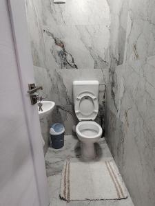 a bathroom with a toilet and a sink at Panorama Loft in Gura Humorului +14 photos