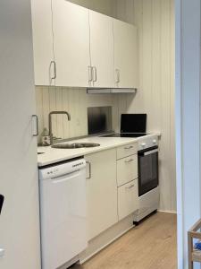 a kitchen with white cabinets and a sink and a dishwasher at Rødhus Camping in Pandrup