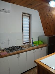 a kitchen with a sink and a stove top oven at Domek nad jeziorem in Jagodne
