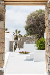 Blick auf einen Innenhof mit weißen Bänken und Bäumen in der Unterkunft Pietra e Mare - Mykonos Moments by Mr and Mrs White in Kalo Livadi