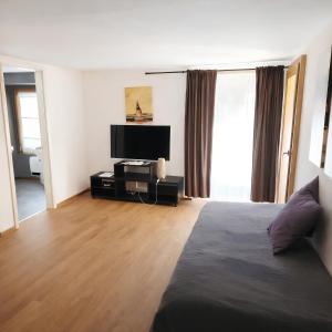 a living room with a bed and a flat screen tv at B&B Osteria Morganti in Someo