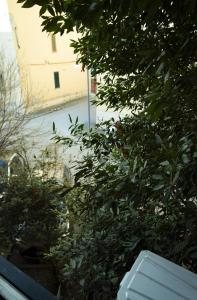 a view of a street from behind a tree at B&B dalla Nonna in Salerno
