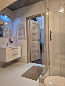 a bathroom with a shower and a toilet and a sink at Penzion Vulture Ostrava in Ostrava