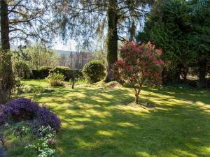 a garden with a tree and flowers in the grass at 2 Bed in Neath oc-bn247 in Crynant