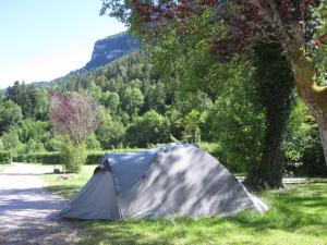 a tent sitting in the grass next to a tree at Camping Le SIGNAL Nantua in Nantua