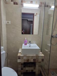 a bathroom with a sink and a toilet and a mirror at Pensiunea La Iani in Constanţa