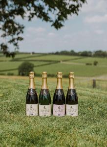 four bottles of wine sitting on the grass at The William Penn At Wickham Manor in Winchelsea +28 photos
