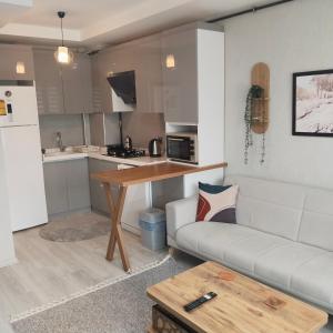 a kitchen and living room with a couch and a table at Ankara Esenboğa Airport Comfort Apart in Ankara