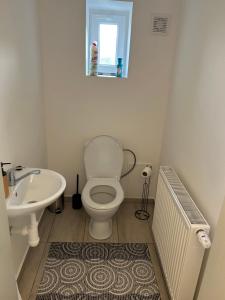 a bathroom with a toilet and a sink at Na Písku in Most