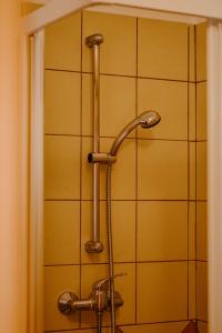 a shower with a shower head in a bathroom at Apartment and Room Natasa in Kobarid +19 photos