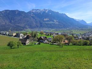 a small town in a field with mountains in the background at Alpine Chalet L iechtenstein in Eschen