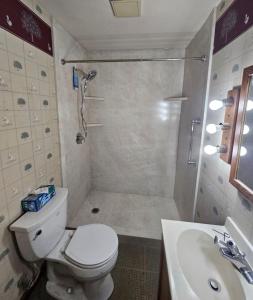 a bathroom with a shower and a toilet and a sink at New Dawn luxury homes in Nairobi