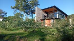 a house on top of a hill with trees at lazy beach in Punta del Este