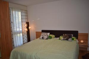a bedroom with a bed with a dog laying on it at Ferienwohnung Caluna in Lenz