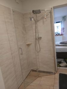 a shower with a glass door in a bathroom at Ferienwohnung May in Seiwerath