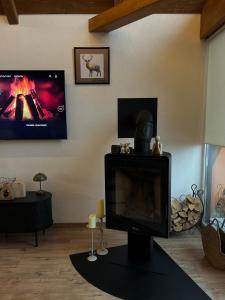 a living room with a television and a fireplace at Gonta house in Skhidnitsa
