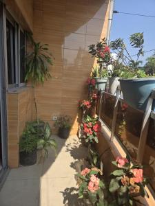 a balcony with potted plants on the side of a building at Providence Guesthouse and Catering Services in Abidjan