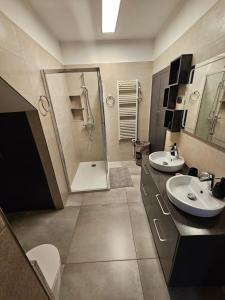 a large bathroom with two sinks and a shower at Mark & Lana in Sežana +15 photos