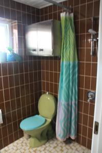 a bathroom with a green toilet and a shower curtain at Bøllingsø Bed and Breakfast in Engesvang +10 photos