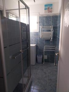 a bathroom with a shower stall and a toilet at Le Dom'Mino in Condé-Folie