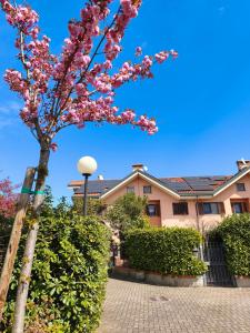 a tree with pink flowers in front of a house at La Casa Blu- Forum di Assago, Humanitas, Milanofiori, IEO in Rozzano