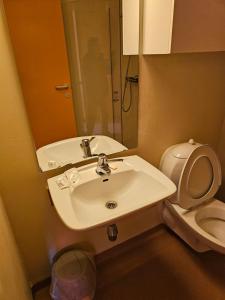 a bathroom with a sink and a toilet at Vertshuset gamlebirkeli in Drilen