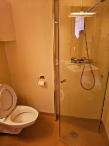 a bathroom with a toilet and a glass shower at Vertshuset gamlebirkeli in Drilen