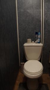 a bathroom with a white toilet in a room at Always at home - Apartments №2 at Klimasenko 11 block 7 in Novokuznetsk