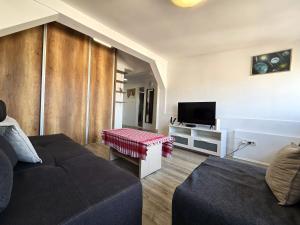 a living room with a couch and a tv at Apartman Gloria Sajam - Panorama in Belgrade