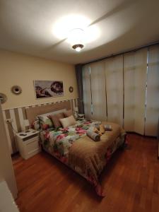 a bedroom with a bed in a room at Domus Redes in Pola de Laviana