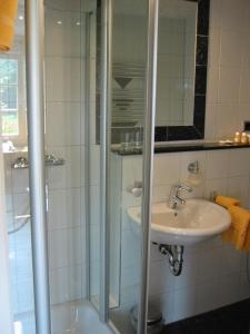 y baño con ducha acristalada y lavamanos. en Wißkirchen Hotel & Restaurant, en Odenthal