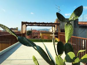 a plant on a balcony with a wooden deck at Maison Bra 10 in Verona